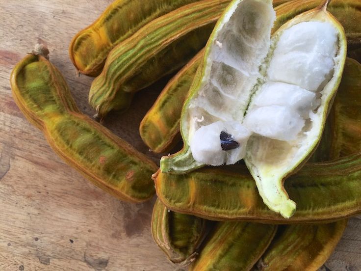 Buah Salju