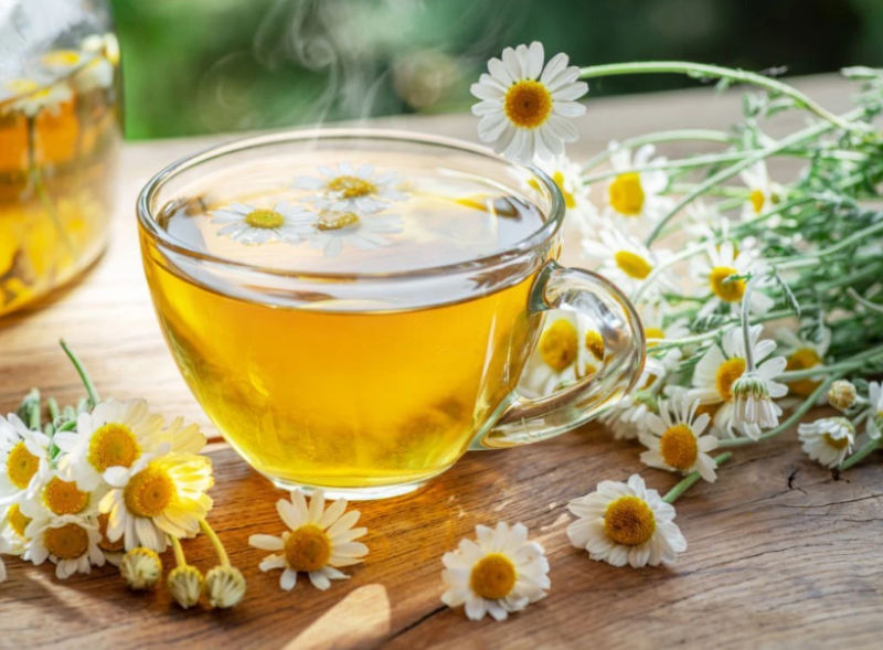 Teh dari bunga chamomile dan manfaatnya bagi Kesehatan.