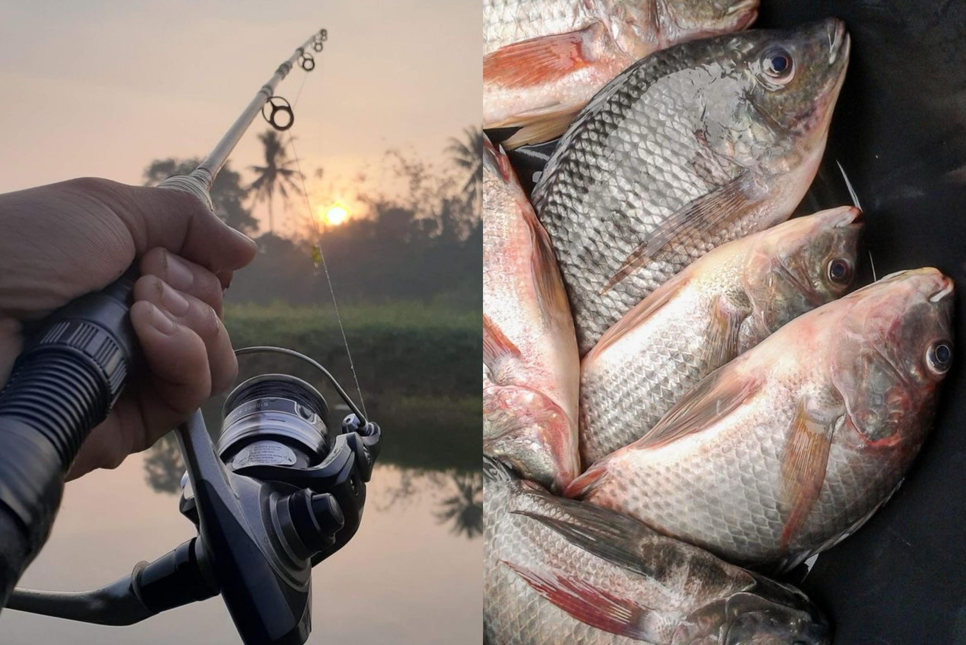 Memancing Ikan Nila