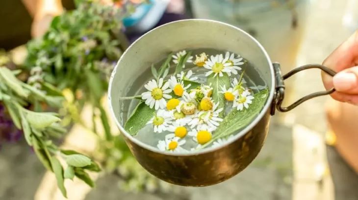 11 Bunga Ini Punya Manfaat Untuk Kesehatan Tubuh, Salah Satunya Chamomile.