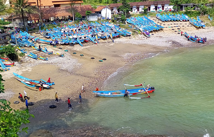 PANEN : Nelayan di Pantai Pedalen, Kecamatan Ayah ketiban untung seiring musim tangkap ikan bawal putih.