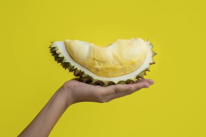 Buah durian yang tidak hanya lezat tetapi juga bisa memiliki manfaat bagi kesehatan tubuh.