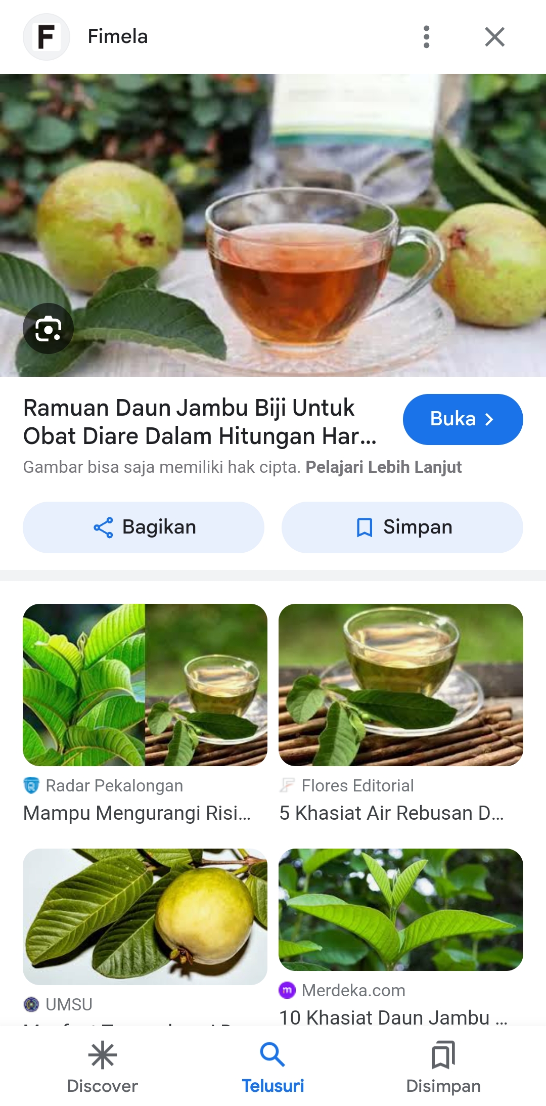 Resep obat herbal alami rebusan daun jambu biji dan kunyit ampuh atasi diare.