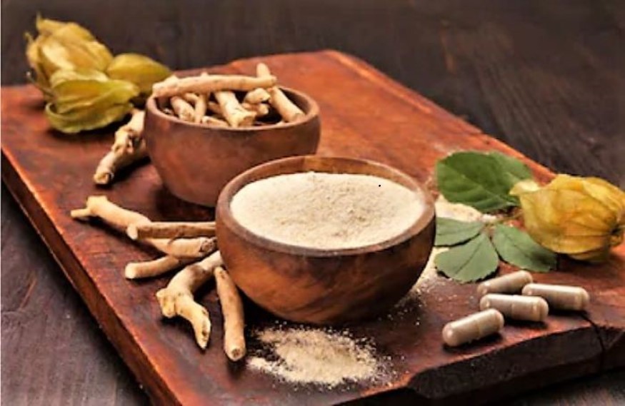 Ashwagandha obat tradisional India