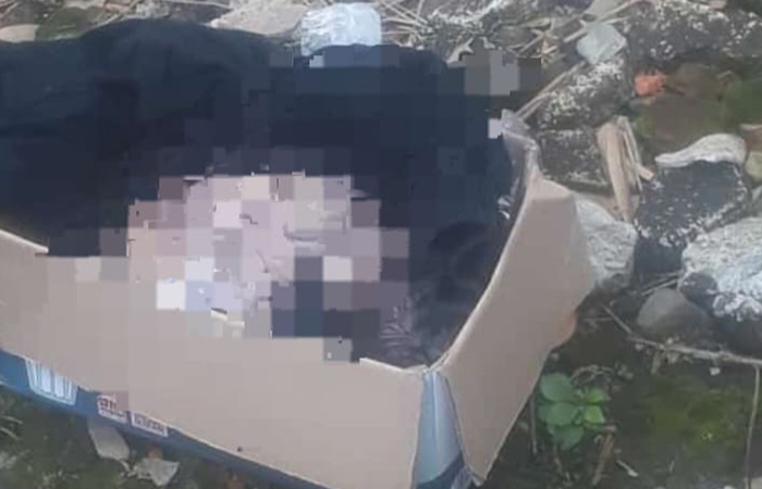 TELANTAR: Seorang bayi perempuan ditemukan oleh tukang sampah di dalam plastik kresek, Kamis (30/5).