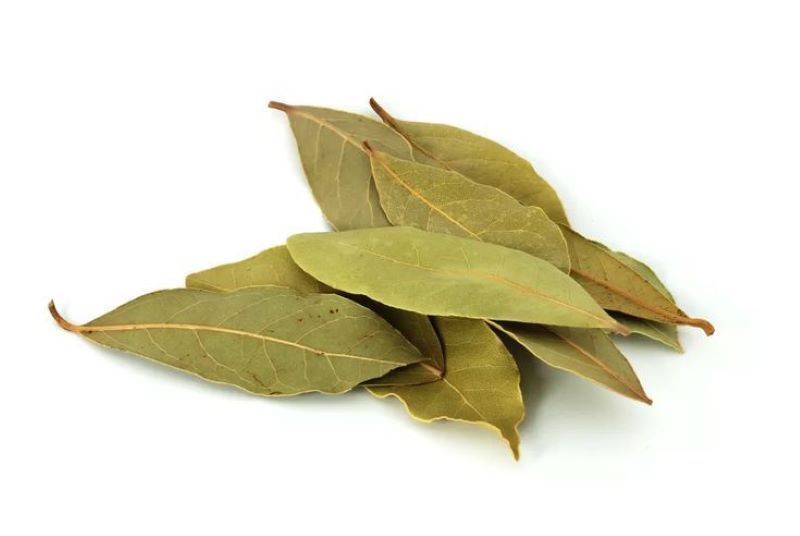 Daun salam.
