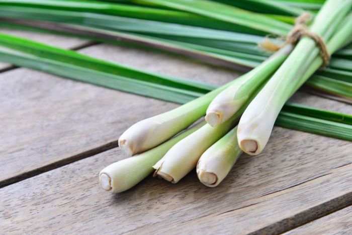 Daun Serai