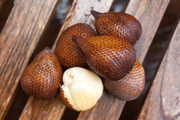 Buah salak.(pinterest )