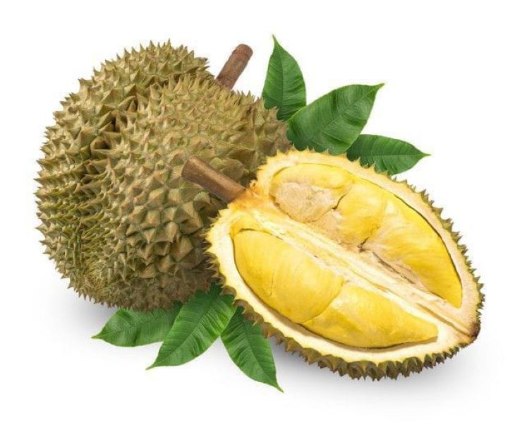 Buah durian. (pinterest )