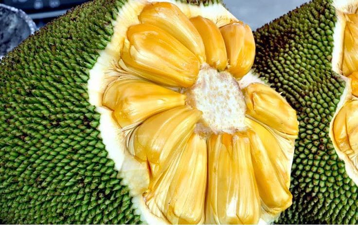 Buah nangka. (pinterest )