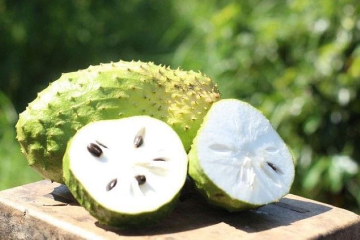 Buah sirsak. (pinterest )