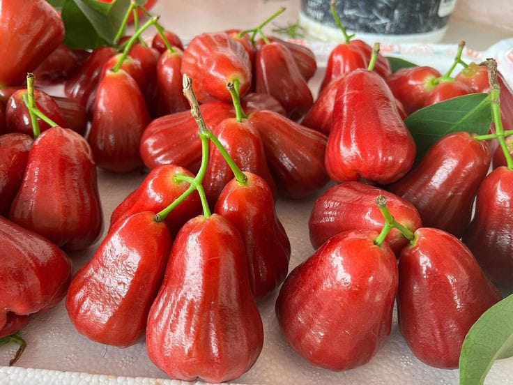 Buah jambu air. (pinterest )