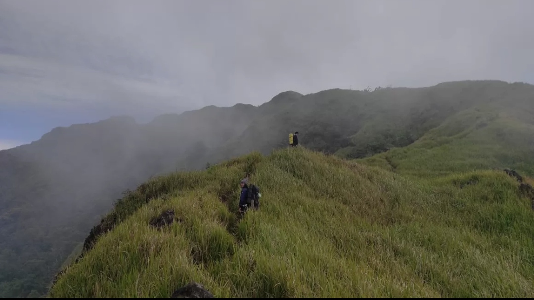 Keindahan gunung Ungaran dan sabana yang ada di sekitarnya.