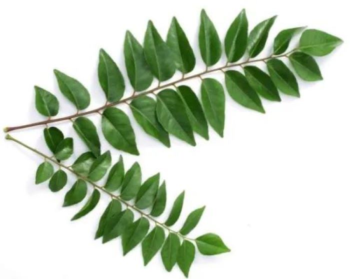 Daun kari
