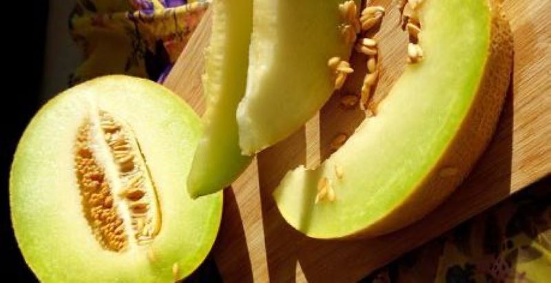 melon yang memiliki segudang manfaat