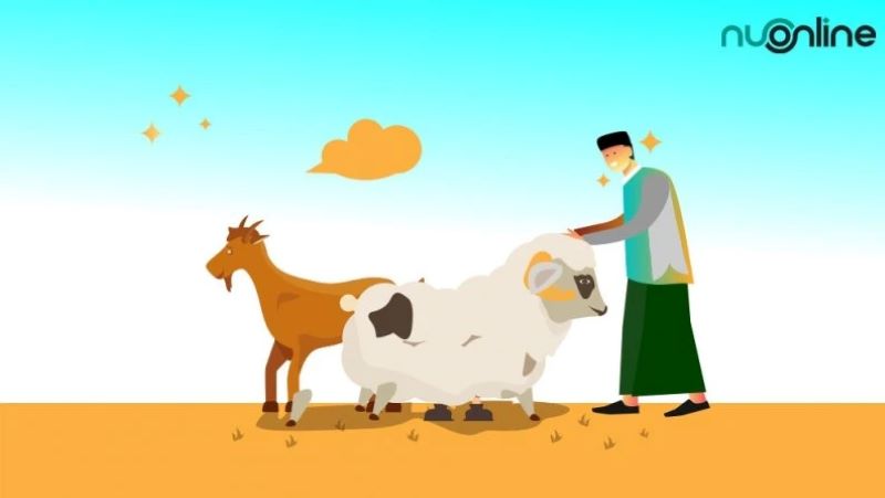 Ilustrasi berkurban.