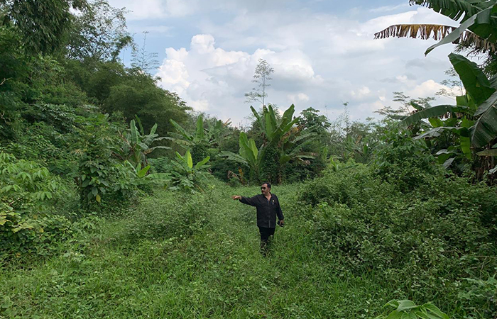 TAK TERAWAT: Lokasi pembangunan TPS ditumbuhi semak belukar. Belum ada aktivitas pembangunan infrastruktur di sana.NAILA NIHAYAH/RADAR JOGJA