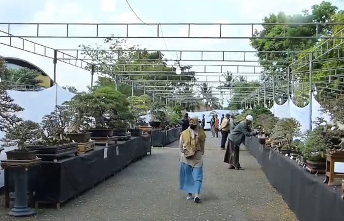 Suasana pameran The Art of Bumi Bagelen di sirkuit SAC Purworejo, Jumat (9/8).