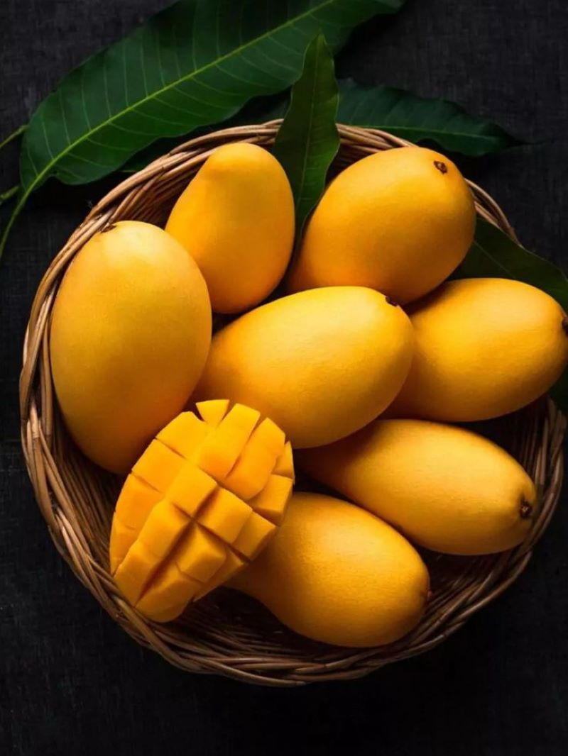 Buah mangga segar.