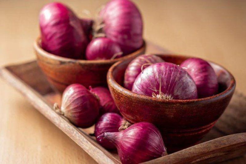 Ilustrasi bawang merah.