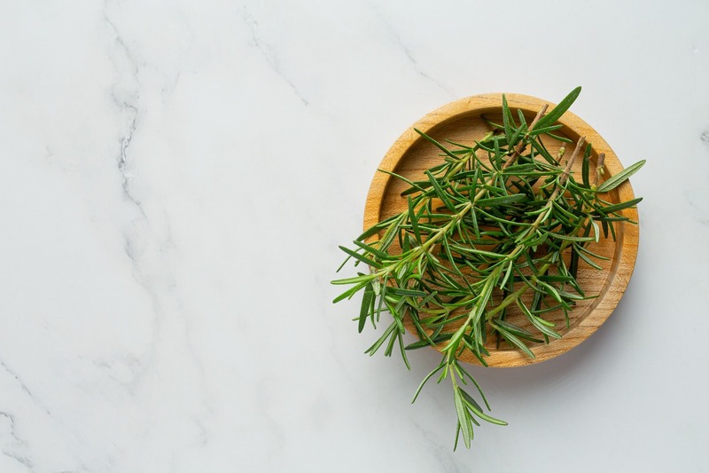 Tanaman herbal Rosemary.