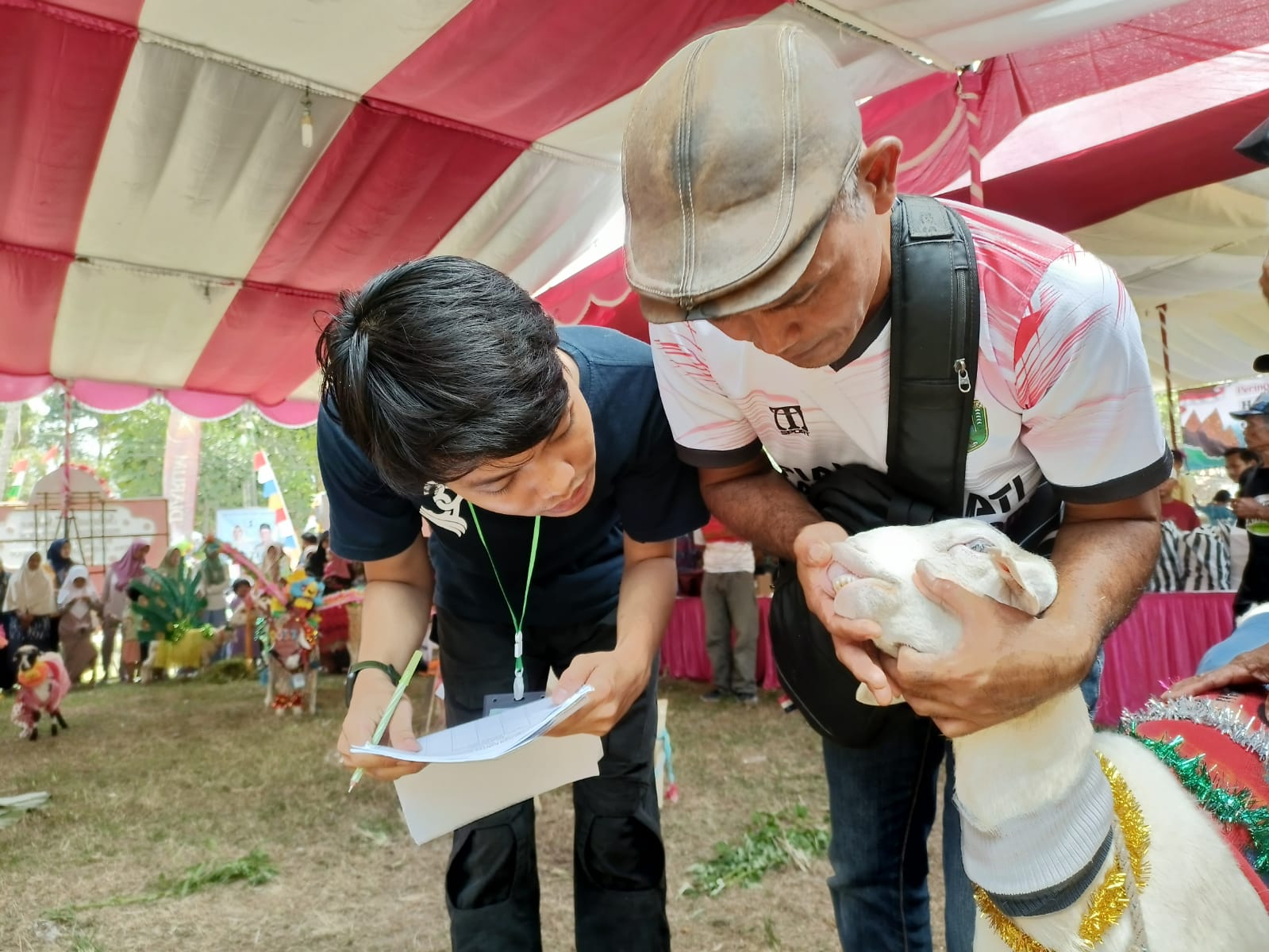 Kontes Kambing Jadi Daya Tarik Desa Jatimulyo Petahanan Kebumen