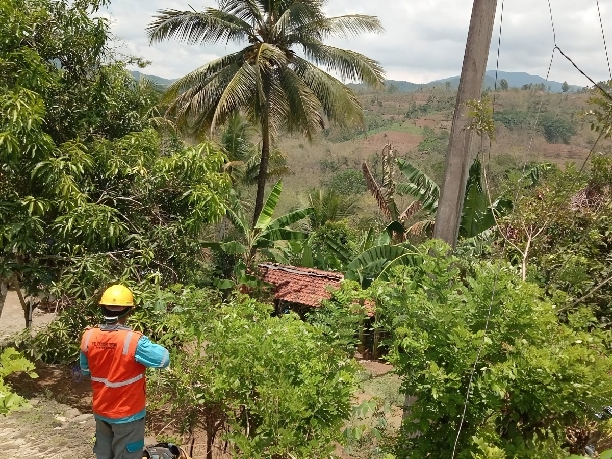DAMPAK BENCANA : Petugas PLN melakukan penanganan terhadap jaringan listrik yang terkena pohon tumbang. (Istimewa)