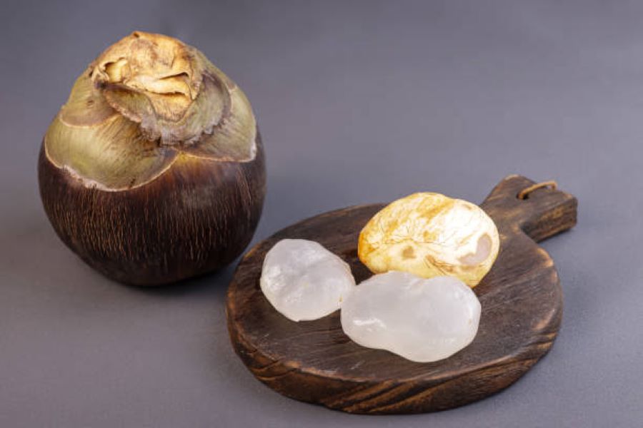 Bentuk buah lontar yang mirip dengan kelapa.