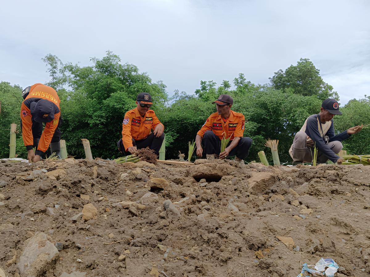 MITIGASI BENCANA : Petugas BPBD Kebumen bersama relawan menanam rumput vetiver di sejumlah tanggul sungai yang rawan jebol. (Dokumentasi BPBD Kebumen)