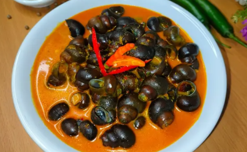 Bukan keong emas, Tutut yang kaya manfaat.
