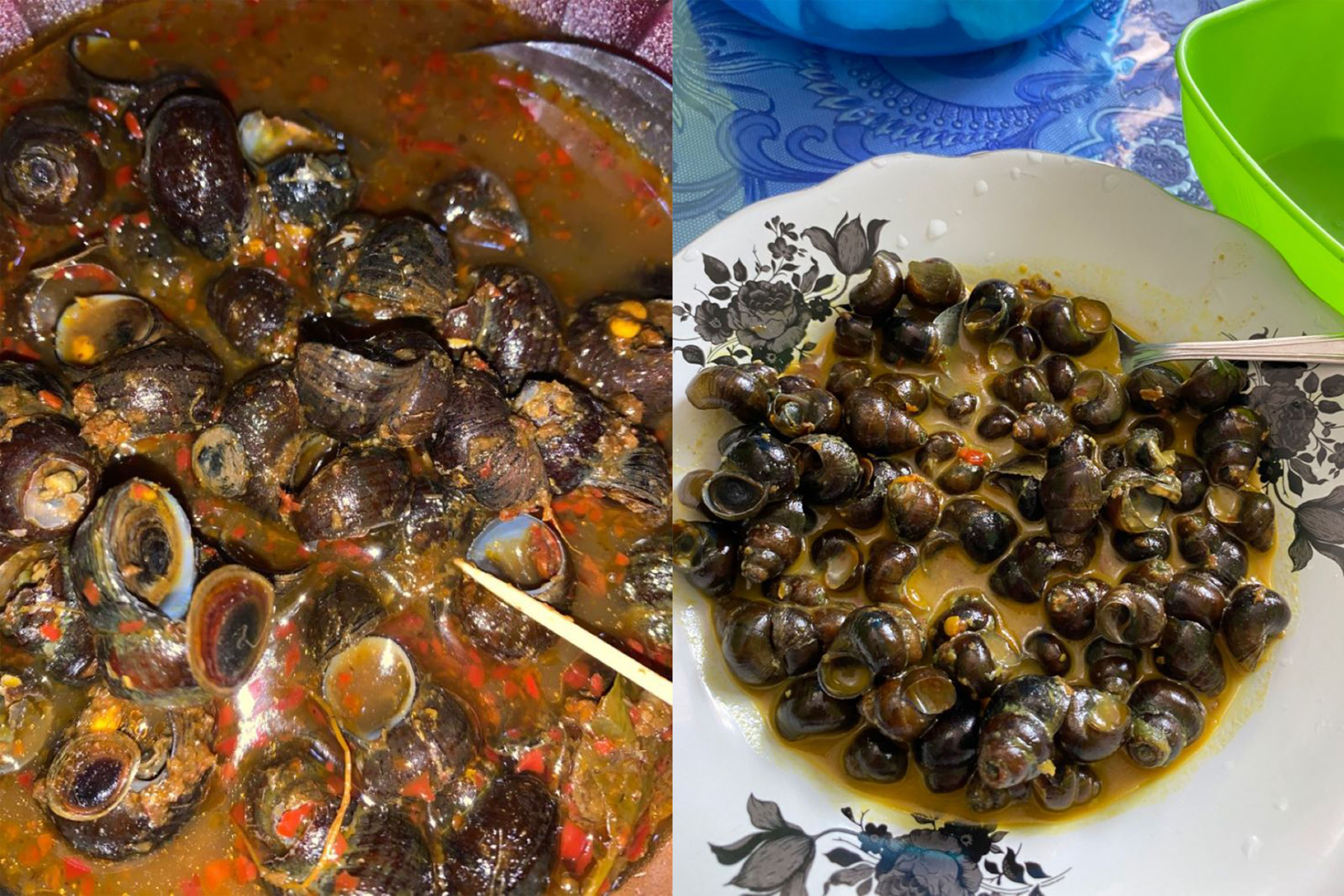 Berbagai olahan tutut atau keong sawah.