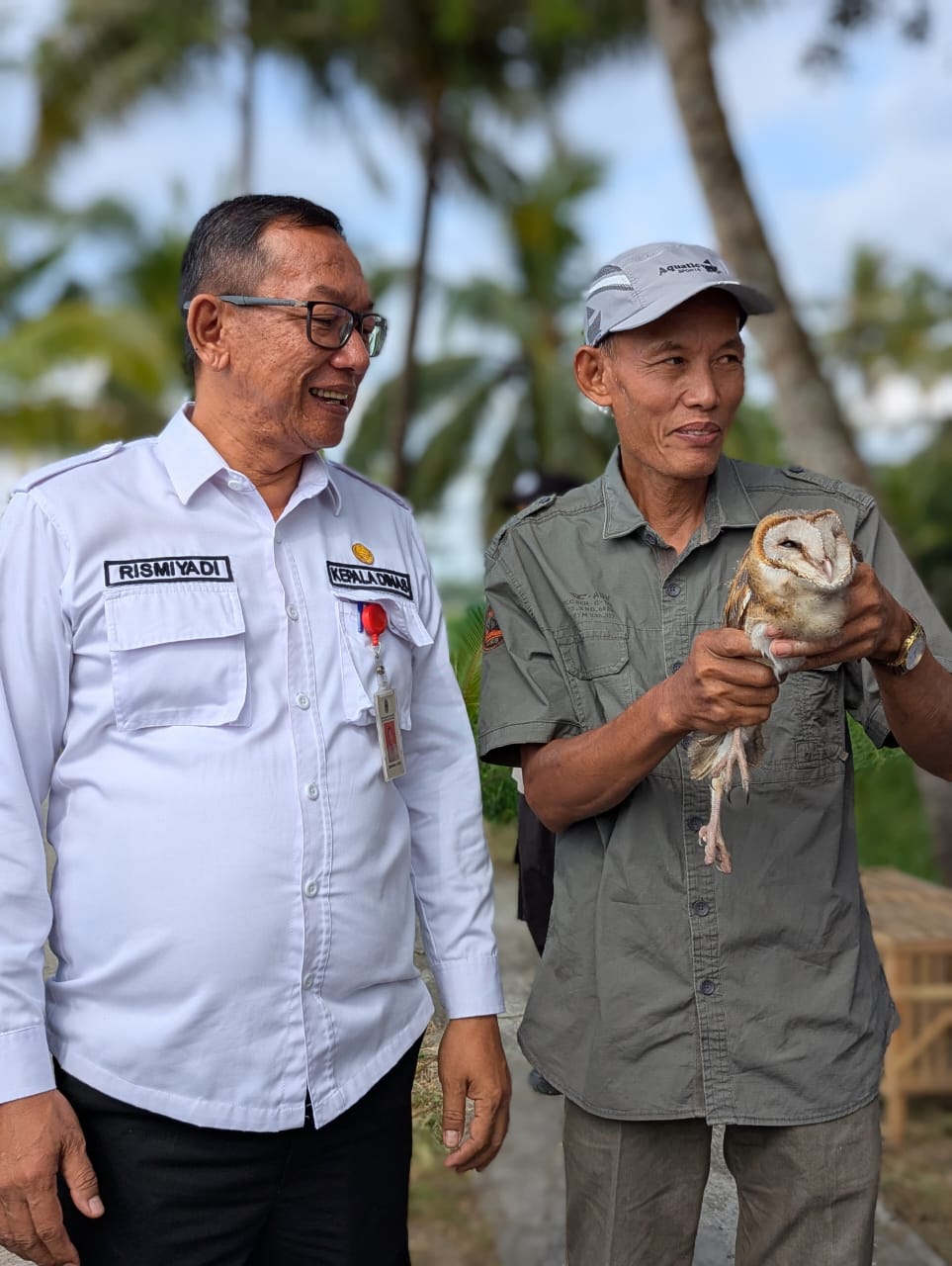 Rismiyadi sedang melepas burung Tyto Alba di area persawahan Kalurahan Ganjahan Kapanewon Ponjong, Gunungkidul.  &nbsp;