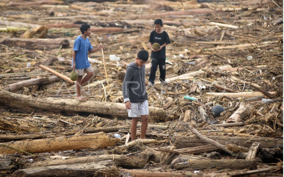 Sampah kayu gelondongan akibat banjir di wilayah Sumatera