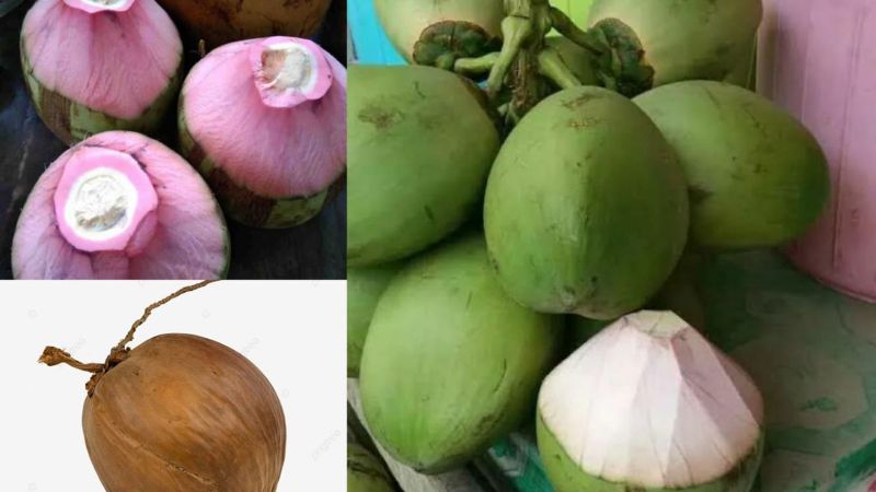Manfaat air kelapa untuk kesehatan.