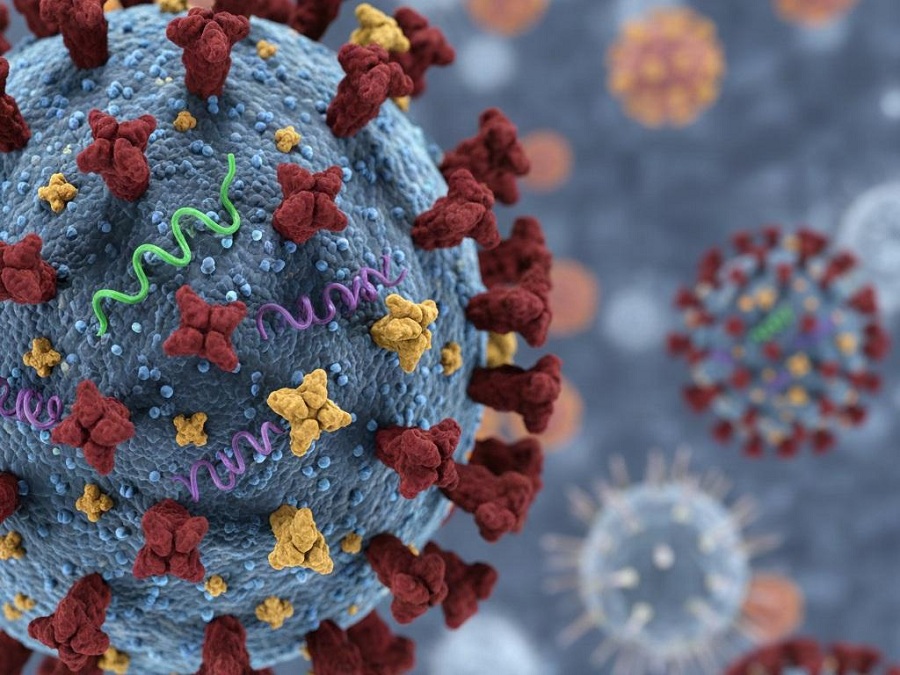 Influenza A Subclade K.