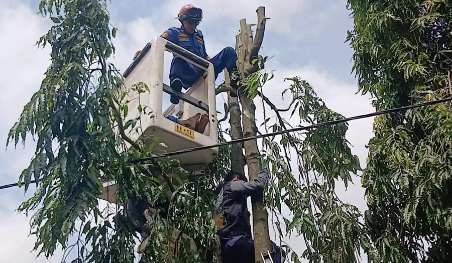 Lokasi warga Kampung Kauman, Kelurahan Sragen Wetan meninggal tersengat listrik, Kamis (22/1/2026) pagi.