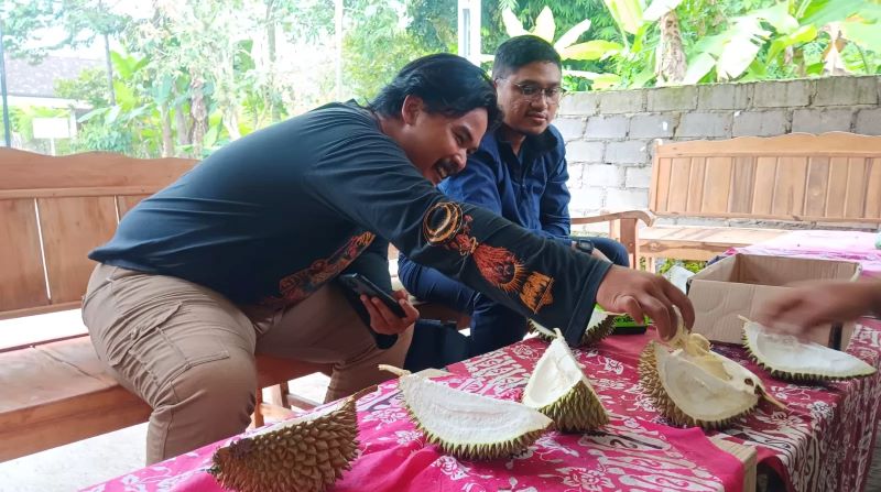 Buah durian lokal Desa Randulanang, Kecamatan Jatinom, Klaten.