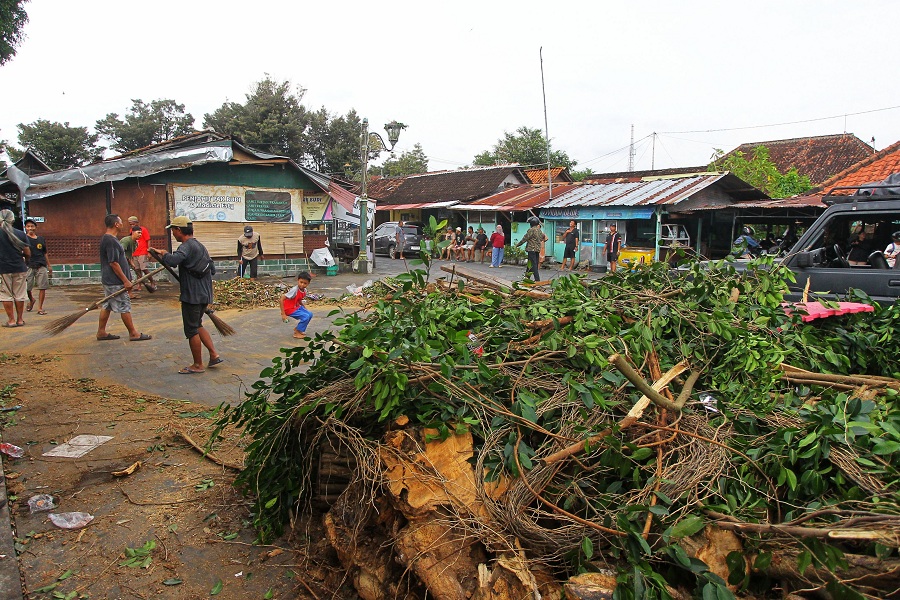 Warga membersihkan sisa-sisa pohon tumbang di kompleks Makam Raja-Raja Kotagede, Kota Jogja, Rabu (11/2/2026).
