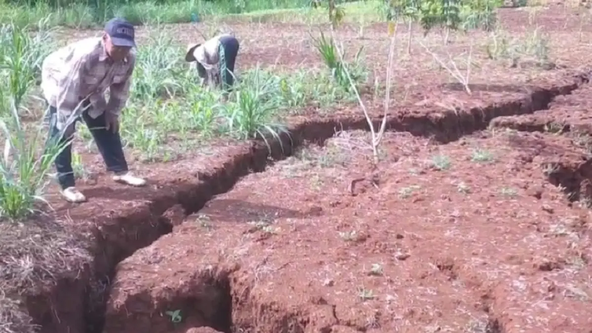 TERJADI LAGI: Sinkhole di Kalurahan Tileng Girisubo semakin meluas hingga luas mencapai 10 meter dan kedalaman 4 meter.&nbsp;Dokumentasi/Tagana Kelurahan Tileng

&nbsp;
