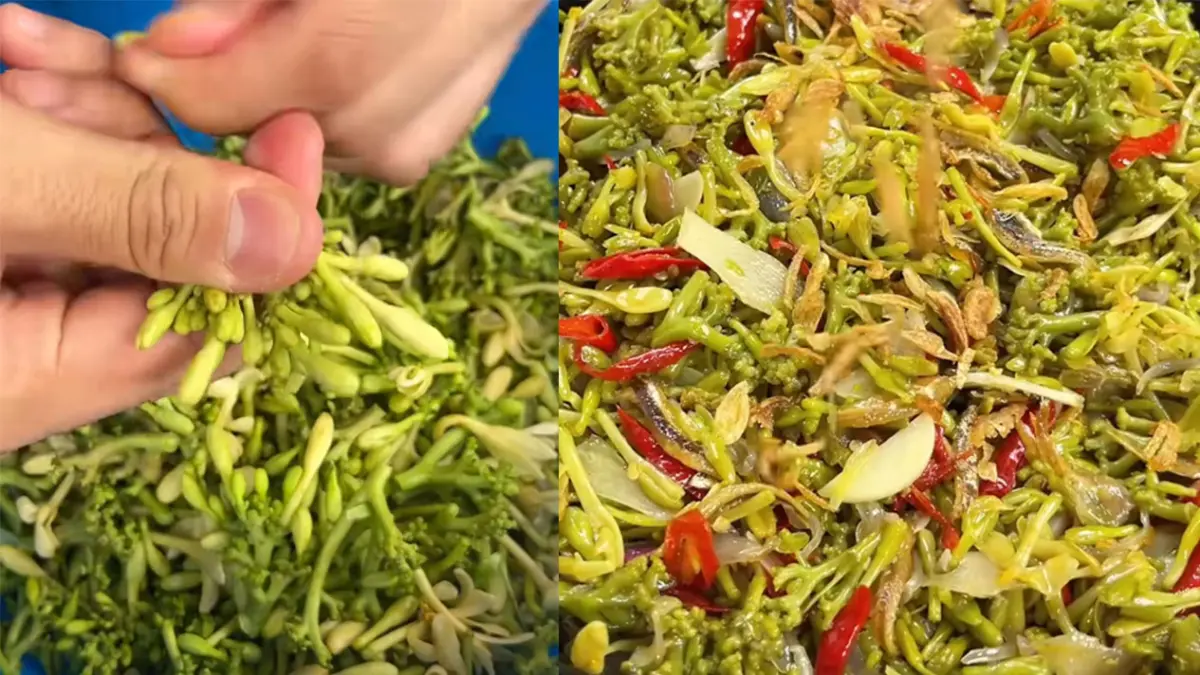 Tumis bunga pepaya. (TikTok/firhan_ashari)