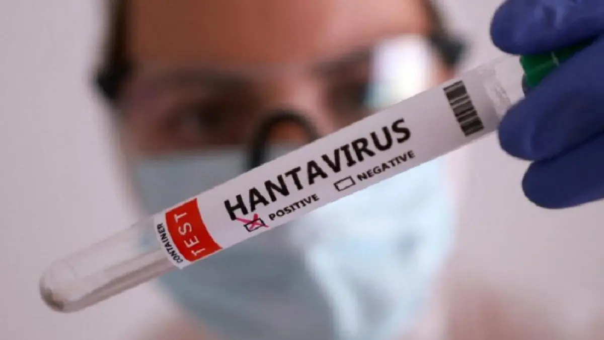 Ilustrasi hantavirus.