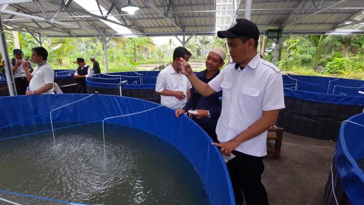 BUDI DAYA: Warga Banyuroto memelihara ikan air tawar di sarpras bantuan bioflok. (Anom Bagaskoro/Radar Purworejo)
