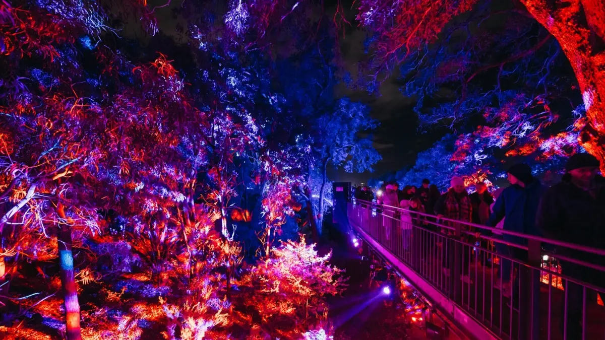 Lightscape Perth 2026 Sulap Kings Park Menjadi Destinasi Musim Dingin Penuh Cahaya dan Keajaiban

