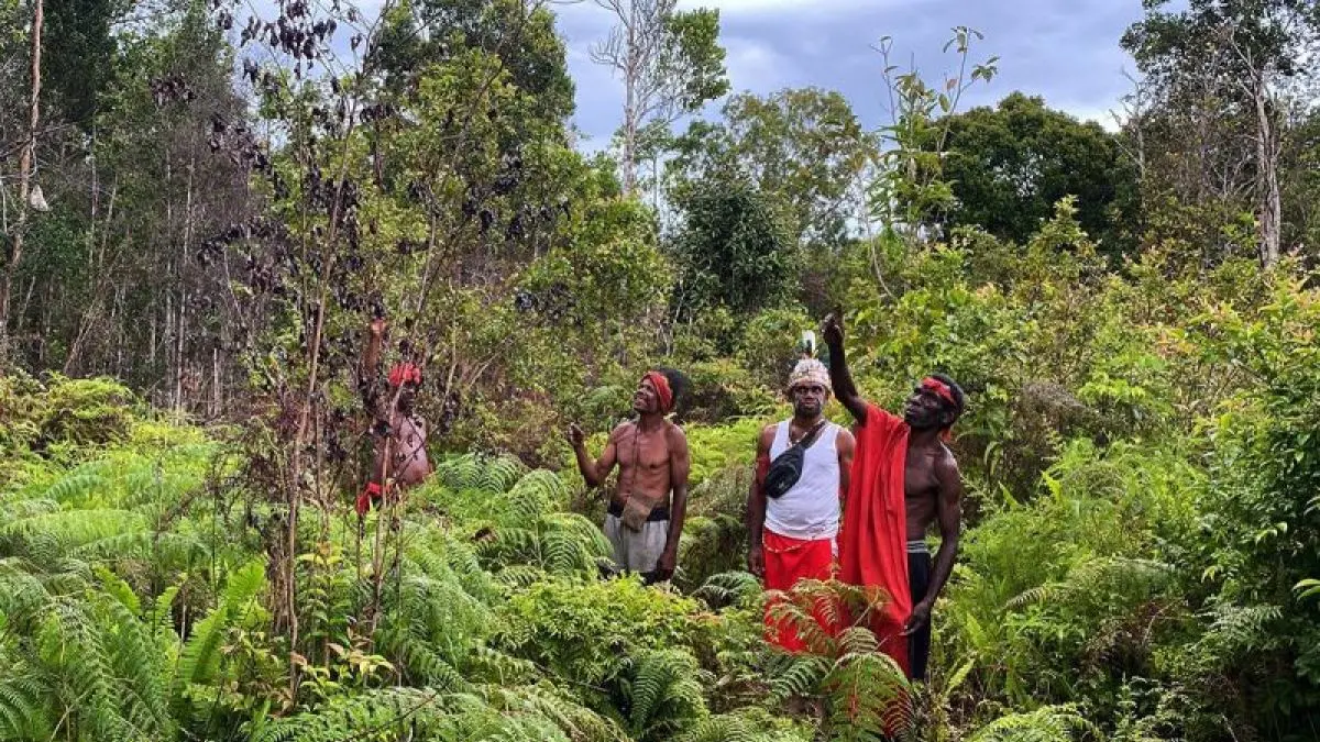 Tanah adat di Papua. (Antara)