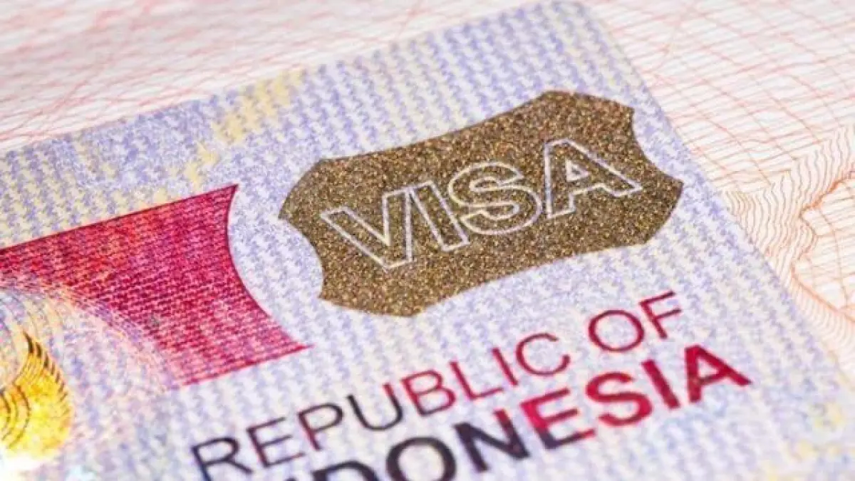 Ilustrasi visa sebagai dokumen izin masuk bagi warga negara asing ke suatu negara. (Pinterest/BGSBali)