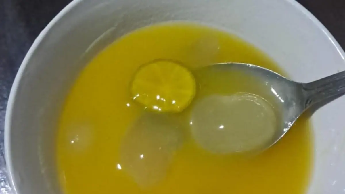 Fermentasi Nanas