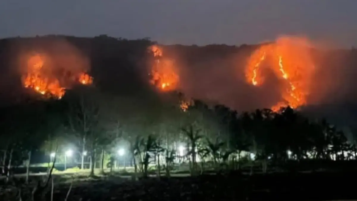 Kebakaran hutan di Pundong, Bantul. (X/@gondezabis)