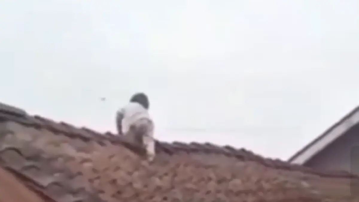 Balita naik genteng rumah tetangga, di Kajoran, Magelang, Jawa Tengah. (IG/magelang raya)