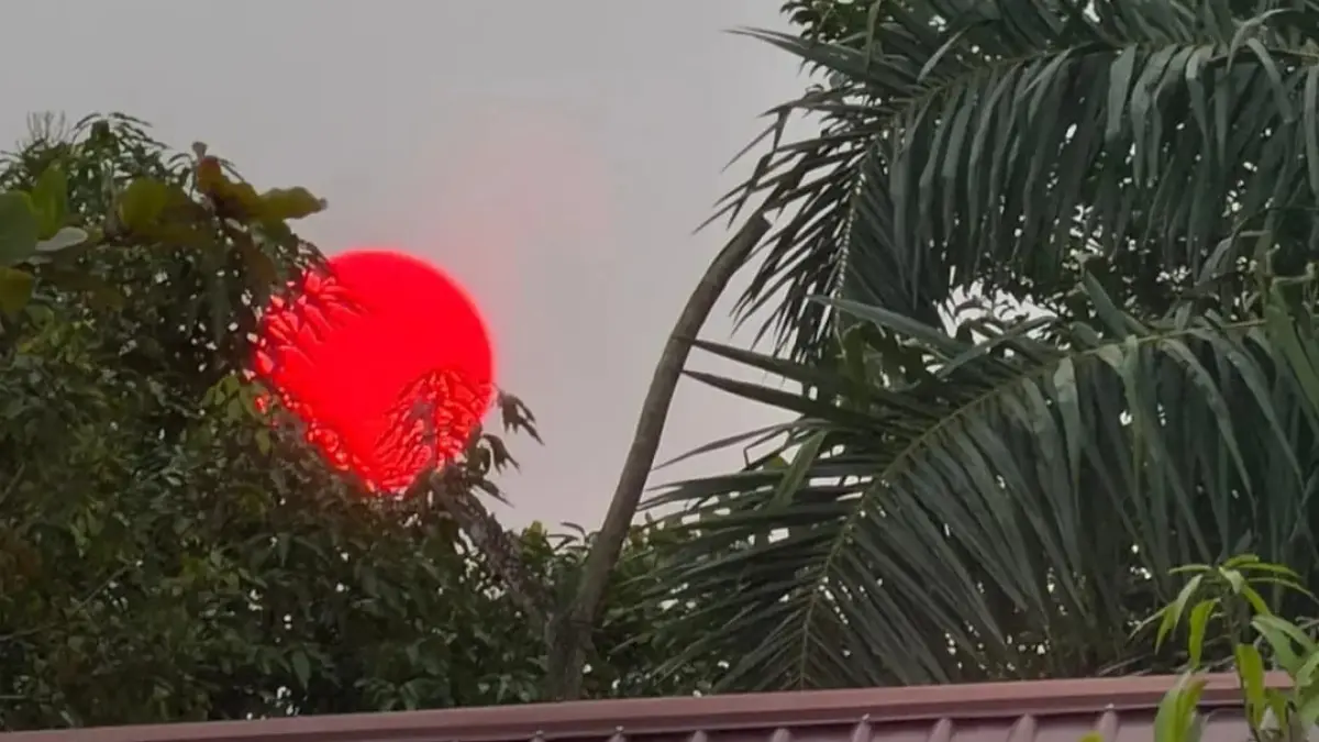  Matahari yang biasanya terlihat terang berubah menjadi merah menyala 