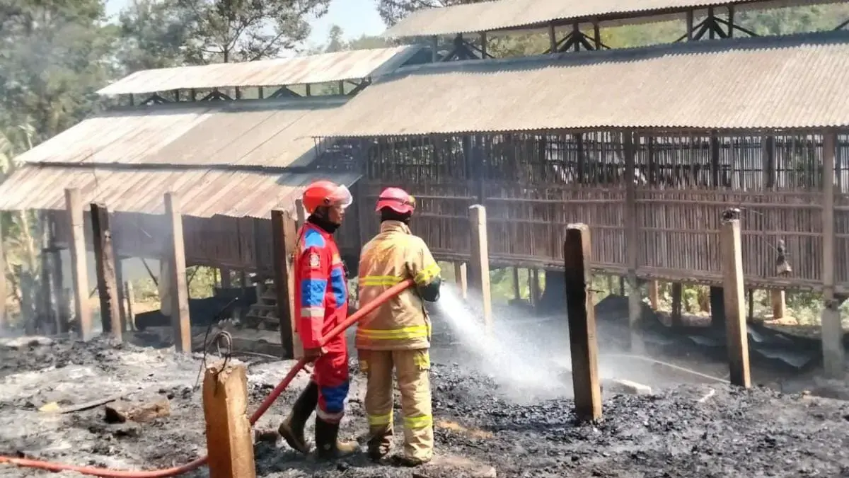 Rudi Hartono/Radar Solo
Petugas Damkar Satpol PP Karanganyar mencoba memadamkan api yang melalap kandang ayam di Desa Plosorejo, Kecamatan Matesih, Karanganyar, Jumat pagi (21/8).